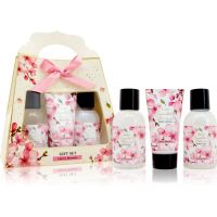 Accentra Essential Botanicals Gift Set подарунковий набір для тіла 3 кс
