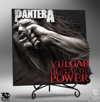 Bild (3D Vinyl) Pantera - KNUCKLEBONZ