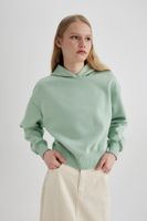 DEFACTO Boxy Fit Hooded Thick Basic Plain Sweatshirt