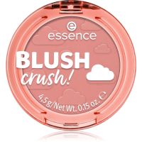 essence BLUSH crush! Puder-Rouge Farbton Apricot Touch 4.5 g