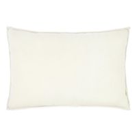 Esposa DEKORAČNÝ VANKÚŠ 60/40 cm