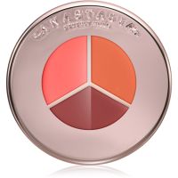Anastasia Beverly Hills Magic Touch Blush Trio рум'яна-тріо з гелевою текстурою відтінок Peach Trio 3 гр