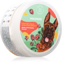 Hairy Tale Malinois Maske für die Haare mit Glykolsäure 200 ml