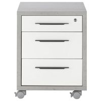 Carryhome KONTAJNER NA KOLIESKACH, 47/63/45 cm