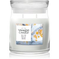 Yankee Candle Silver Birch lõhnaküünal 368 g
