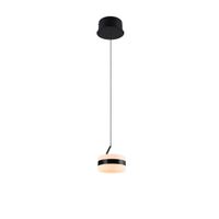 Trio Leuchten ZÁVĚSNÉ LED SVÍTIDLO, 15,5/150 cm