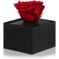 RoseAmor Red стабілізована троянда в коробці 1 кс