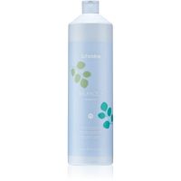 Echosline Balance+ Shampoo šampón pre zdravú pokožku hlavy 1000 ml