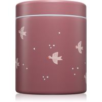 FRESK Food Jar termos toidu jaoks Swallow 500 ml