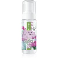 Lirene Power of Plants Opuntia nežna čistilna pena z gladilnim učinkom 150 ml