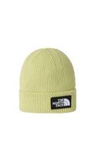 THE NORTH FACE Kapa  pastelno zelena / crna / bijela