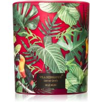 Vila Hermanos Jungletopia Wild Musk mirisna svijeća 200 g