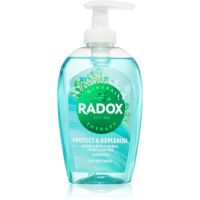 Radox Protect + Replenish течен сапун за ръце 250 мл.