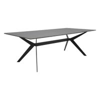 KONFERENČNÝ STOLÍK, čierna, kov, sklo, 115/60/40 cm