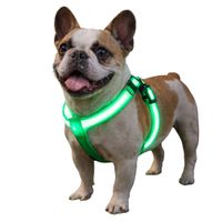 Reedog világító hám kutyáknak és macskáknak - Fekete - multicolor - M