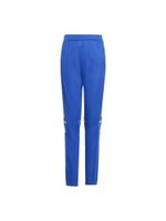 ADIDAS PERFORMANCE Sportske hlače 'Squadra 25'  plava / limeta zelena