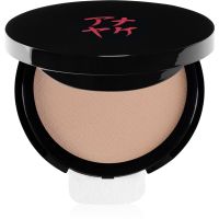 Annayake Silky Compact Foundation kompaktný krémový make-up odtieň Clair 10 9 g