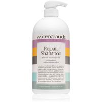 Waterclouds Repair Shampoo mildes Pflegeshampoo 1000 ml