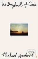 The Boyhood of Cain ('A new literary star is born . . . dazzling.' The Times) - kniha z kategorie Společenská beletrie