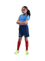 NIKE Sportske hlače 'Tottenham Hotspur Strike'  mornarsko plava / limun / crvena / bijela