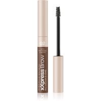Gabriella Salvete XXPress Brow gel za učvršćivanje za obrve nijansa 02 6 ml