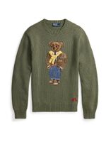 Polo Ralph Lauren Pulover  plava / smeđa / žuta / maslinasta