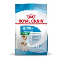 ROYAL CANIN SHN MINI STARTER MOTHER & BABY DOG 4kg krmivo pre šteňatá do 2 mesiacov a pre gravidné a dojčiace suky