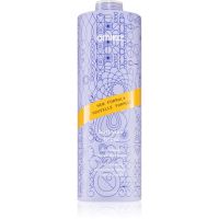 amika Bust Your Brass Cool Blonde fialový tónovací šampón pre blond a šedivé vlasy 1000 ml