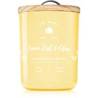 DW Home Farmhouse Lemon Zest & Citrus lumânare parfumată 434 g