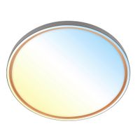 STROPNÍ LED SVÍTIDLO, 49.5/6,5 cm