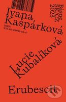 Básne SK/CZ 2023 - Kolektív - kniha z kategorie Poezie