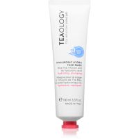 Teaology Hyaluronic Hydra Face Mask maseczka głęboko nawilżająca z kwasem hialuronowym 100 ml