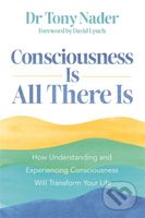 Consciousness Is All There Is (How Understanding and Experiencing Consciousness Will Transform Your Life) - kniha z kategorie Filozofie