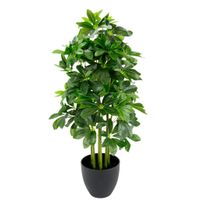 UMELÁ RASTLINA 80 cm