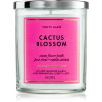 Bath & Body Works Cactus Blossom aроматична свічка 227 гр