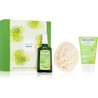 Weleda Birch detox set + gift darilni set (za prehrano in hidracijo)