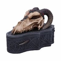 Drache-Totenkopf-Dose (Dekoration) - (Monte Moore)