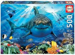 Bílý žralok - puzzle z kategorie Zvířata