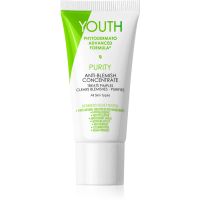 YOUTH Purity Anti-Blemish Concentrate lokale Pflege gegen Akne 20 ml