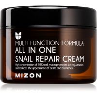 Mizon Multi Function Formula  Snail відновлюючий крем з екстрактом равлика 92% 120 мл