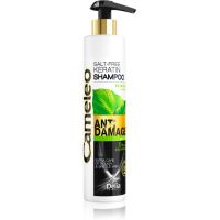 Delia Cosmetics Cameleo BB keratinski šampon za oštećenu kosu 250 ml