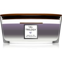 Woodwick Trilogy Amethyst Sky illatgyertya fa kanóccal (hearthwick) 453,6 g