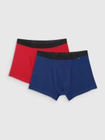 Men's Boxer Shorts 4F (2pack)