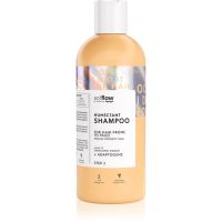 so!flow Medium Porosity Hair Humectant Shampoo glättendes Shampoo gegen strapaziertes Haar 400 ml