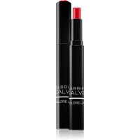 Gabriella Salvete Colore hochpigmentierter, cremiger Lippenstift Farbton 12 2,5 g