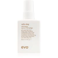 EVO Salty Dog Salt Spray salziges Spray für einen Strandeffekt 50 ml