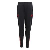 ADIDAS PERFORMANCE Sportske hlače 'FC Liverpool Tiro 25'  crvena / crna