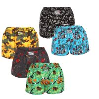 5PACK dámské trenky Styx art klasická guma vícebarevné (5K1527892) S