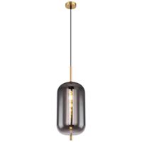 Globo ZÁVĚSNÉ SVÍTIDLO, 22/120 cm