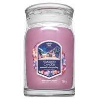 Yankee Candle Summit Stargazing 567 g
